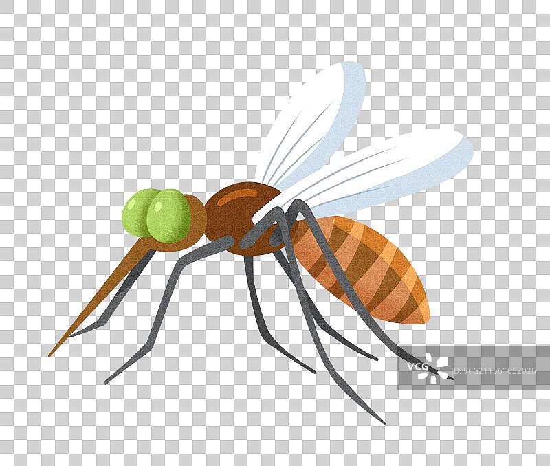 蚊子卡通插画图片素材