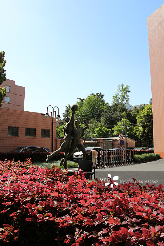 上海外国语大学图片素材