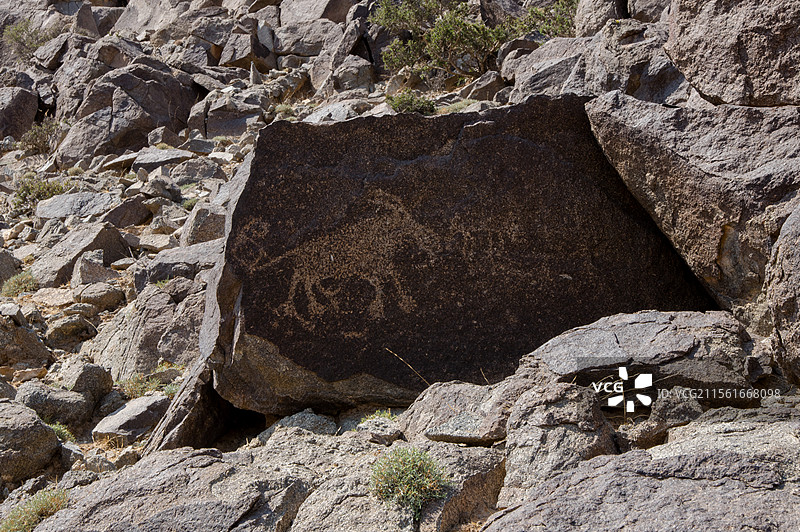 阴山岩画——远古图腾  文化瑰宝图片素材