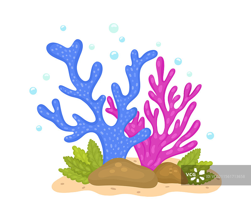 海洋珊瑚的绘画图片素材