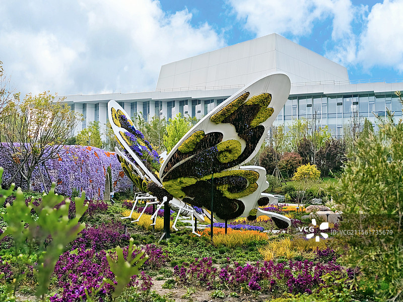 上海世博文化公园 世界花艺园新境园，蝴蝶花境造型，春天花海风光图片素材