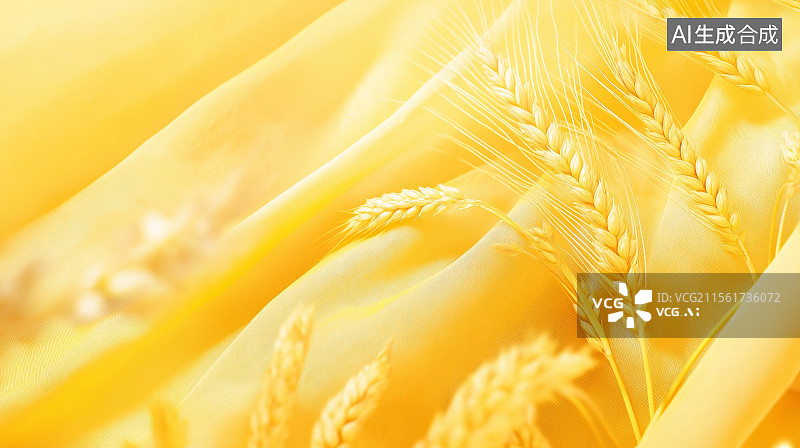 【AI数字艺术】芒种主题背景——金色的小麦麦穗图片素材