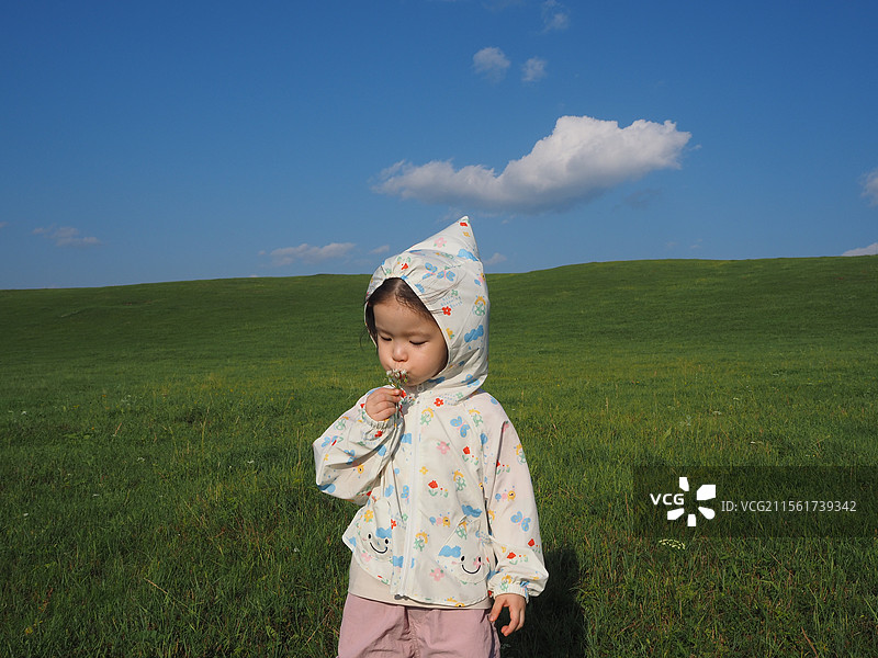 天线宝宝图片素材