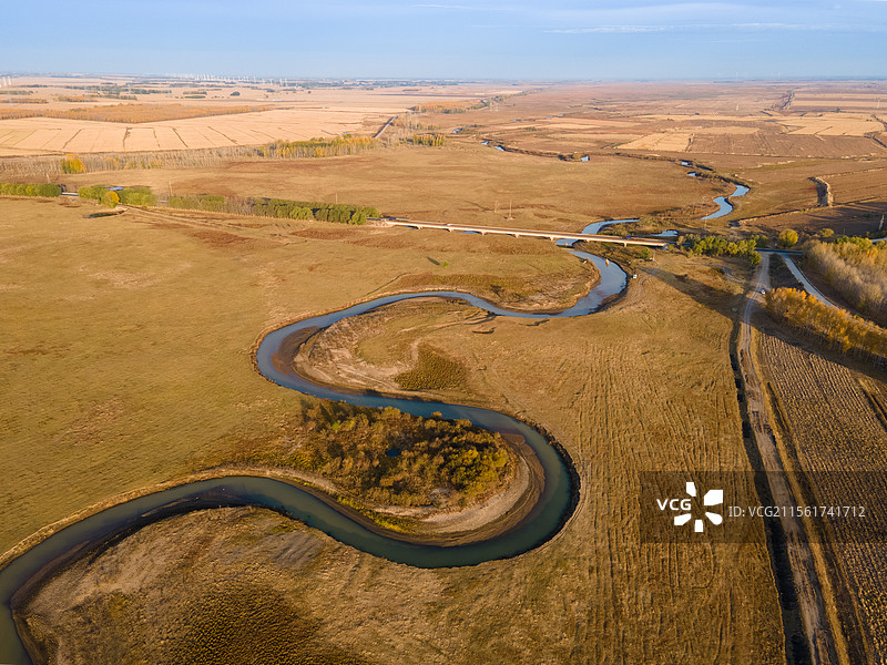 黑龙江省齐齐哈尔市音河秋天水稻田鸟瞰图片素材