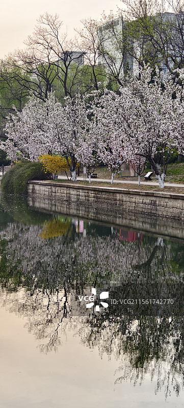 元大都城垣遗址公园～海棠花溪图片素材