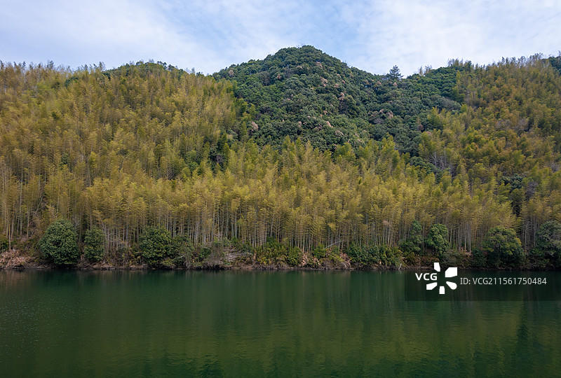 翠绿水面上的山与竹林图片素材