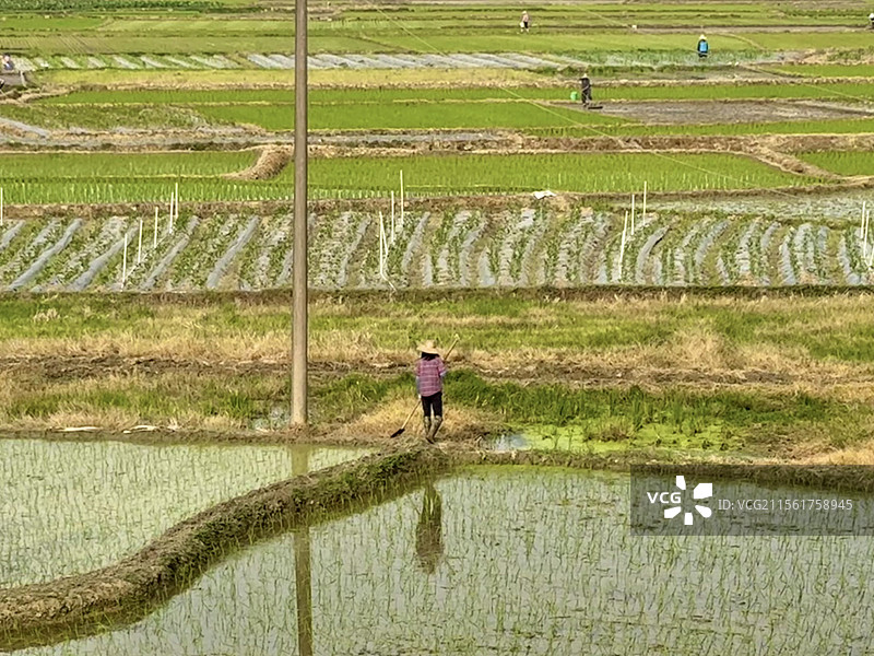 农忙时节图片素材