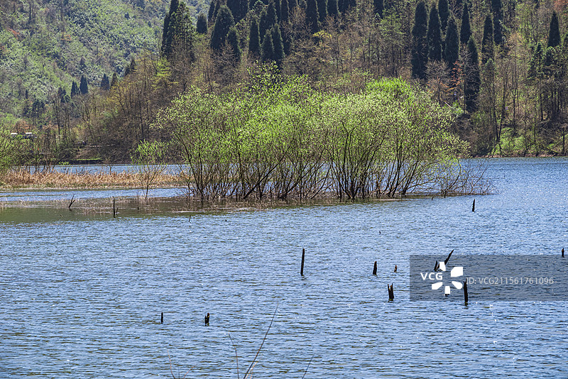 都江堰龙池国家森林公园龙池风光图片素材