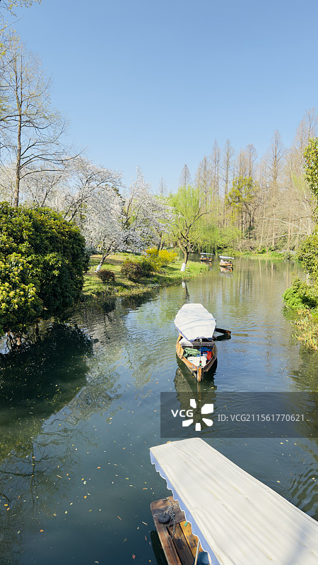 春天里的杭州西湖风光船湖树天空图片素材