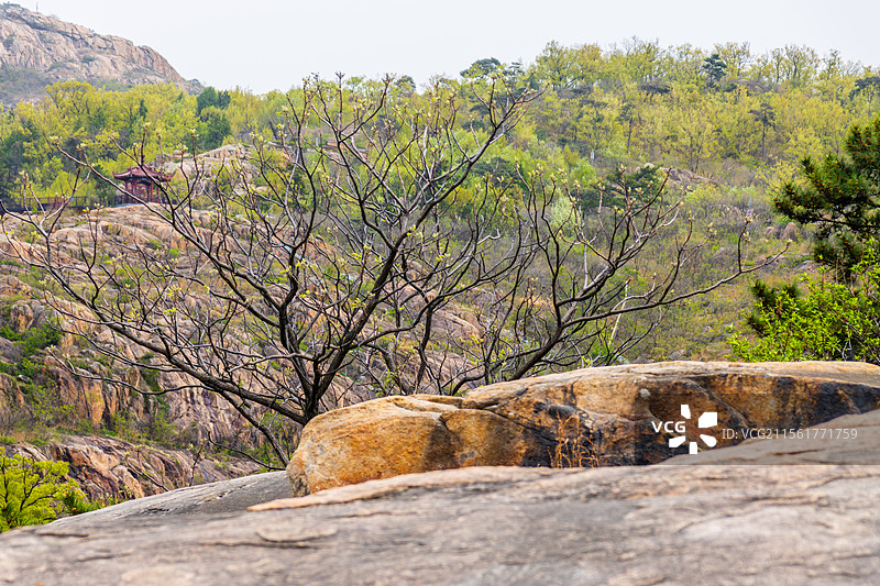 连云港桃花涧风光图片素材