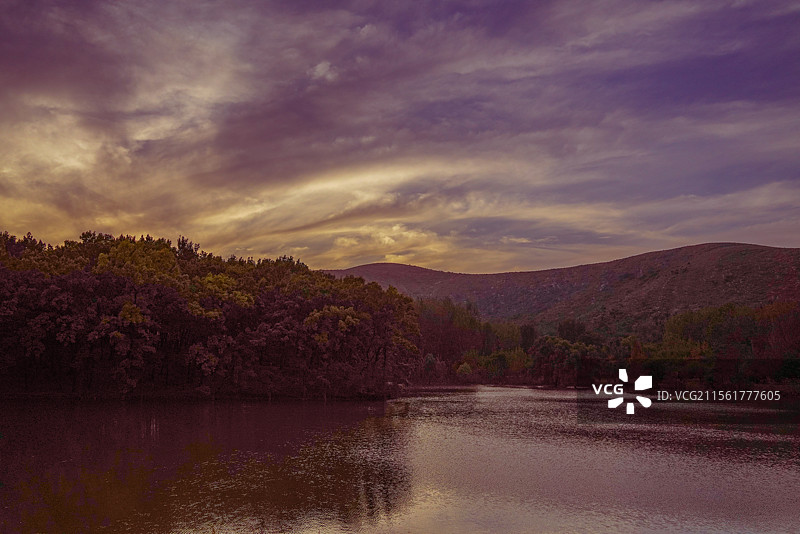 安徽萧县百年橡树林图片素材