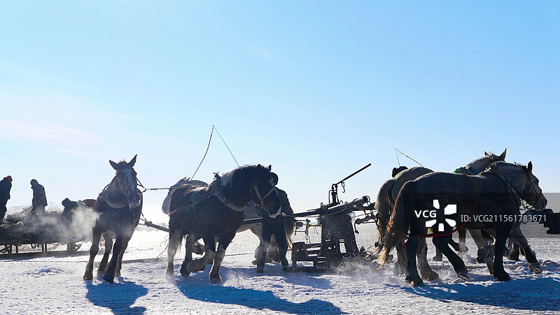 雪地上的马查干湖冬捕图片素材