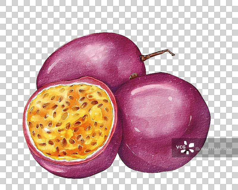 百香果插画元素图片素材