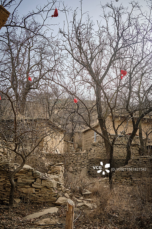 陕北黄土坡的农村窑洞，电视剧《平凡的世界》取景地，榆林绥德郭家沟村（双水村）图片素材