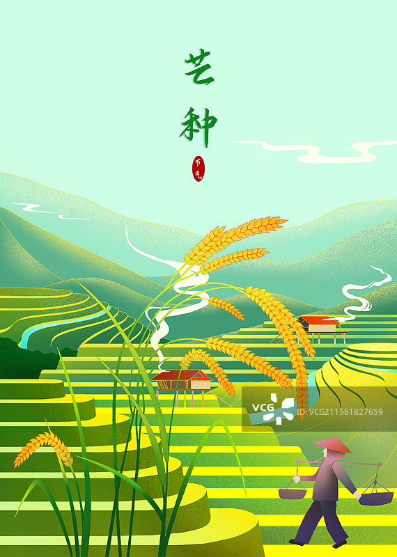 24节气-芒种-谷雨-手绘插画-模版3图片素材