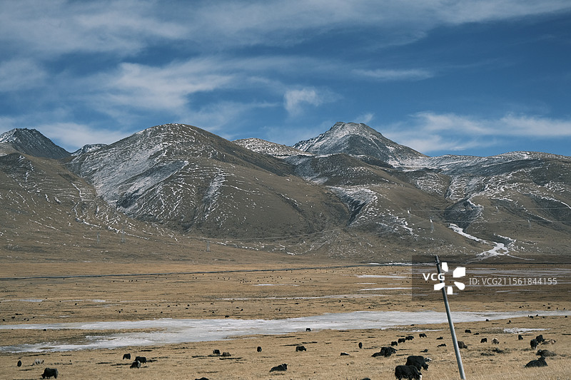 贡德林草原图片素材