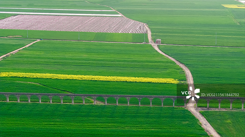 春天绿色麦田自然风景航拍图片素材