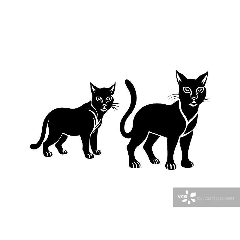 老虎系列 1图片素材