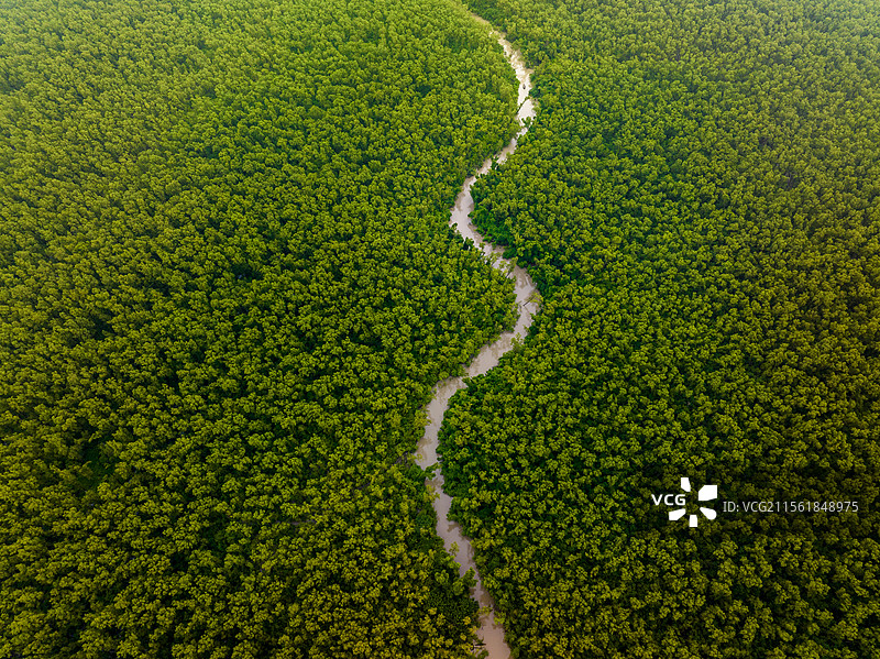 哈林哈塔巴尔古纳，绿色景观的鸟瞰图图片素材