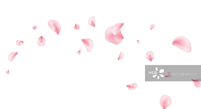 樱花花瓣背景春季绽放横幅8图片素材