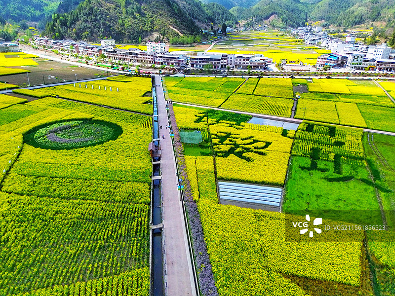 陕西省汉中市镇巴县黎坝镇油菜花海油菜花田农业村庄航拍全景绿色黄色图片素材