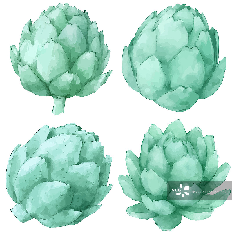 手绘朝鲜蓟水彩套装图片素材