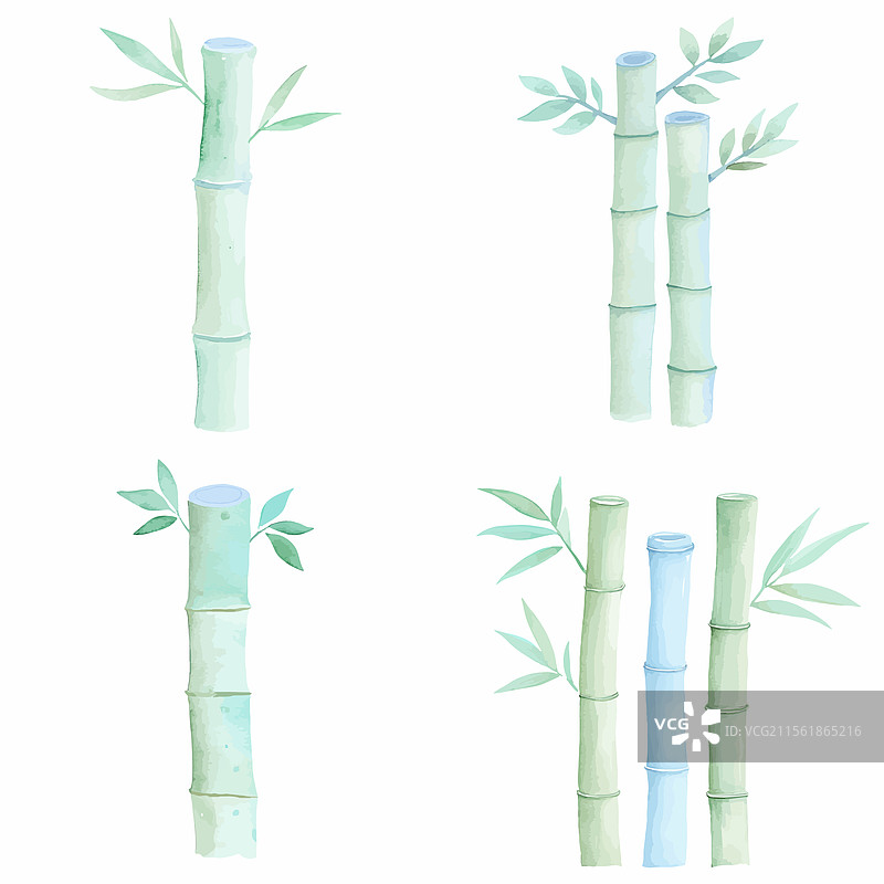 手绘竹子水彩套装图片素材
