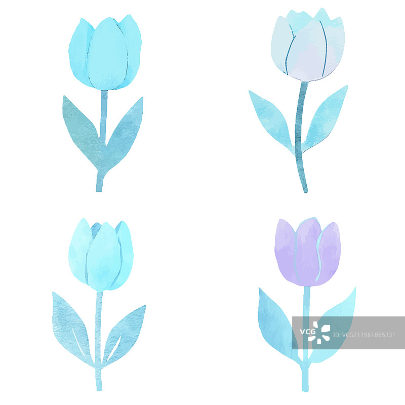 郁金香水彩画图片素材