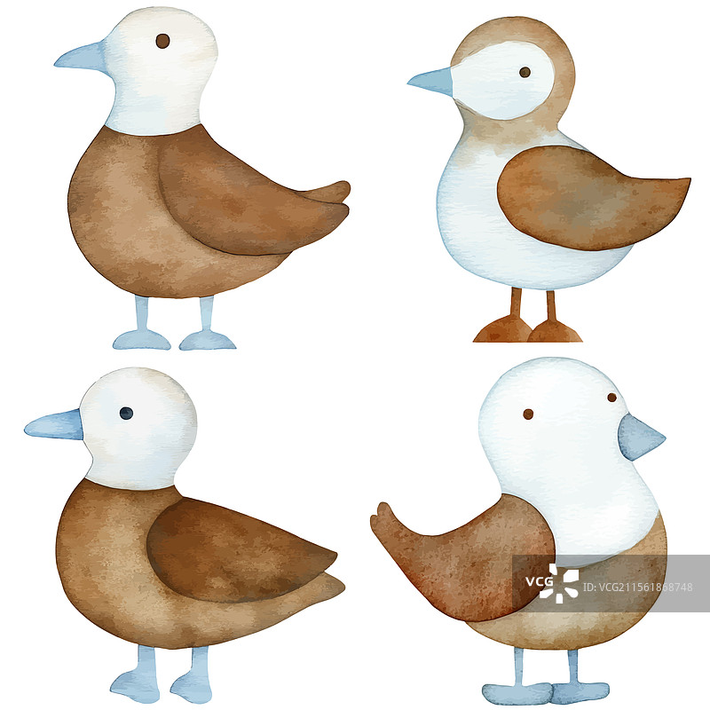 海鸥水彩手绘套装合集图片素材