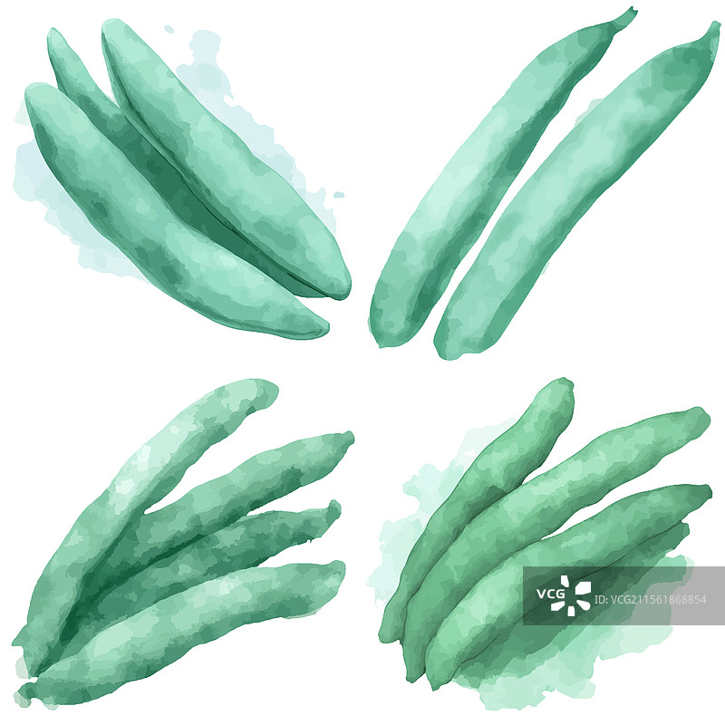 手绘豆类水彩画套装图片素材