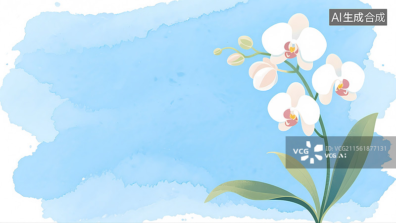 【AI数字艺术】蓝色背景白色兰花居右图片素材