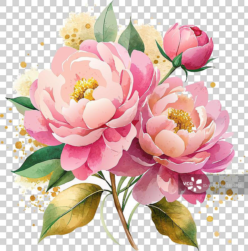 一束水彩牡丹花束图片素材