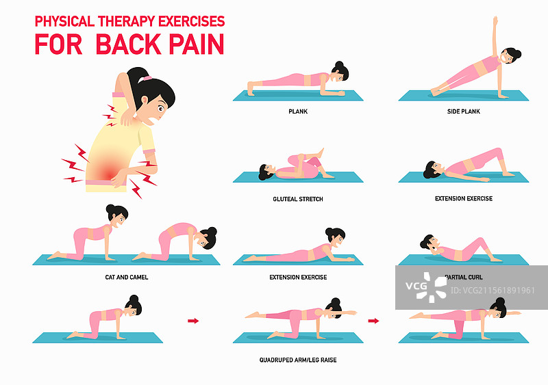 背痛的物理治疗锻炼图片素材