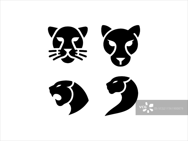 影子黑豹，力量与速度的象征图片素材