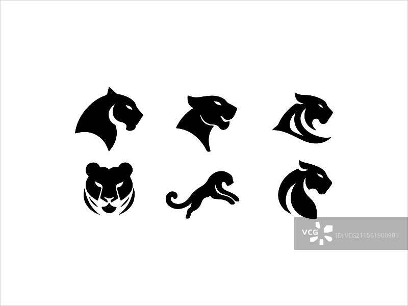 影子黑豹，力量与速度的象征图片素材