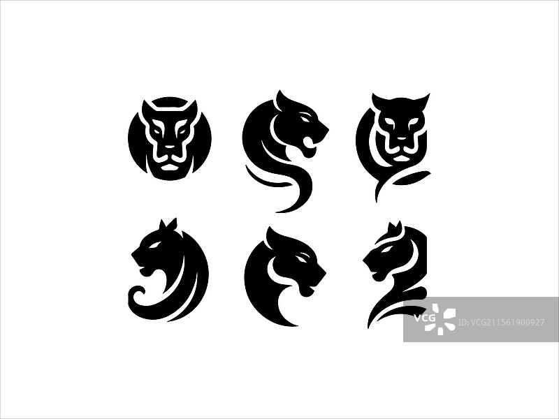 影子黑豹，力量与速度的象征图片素材