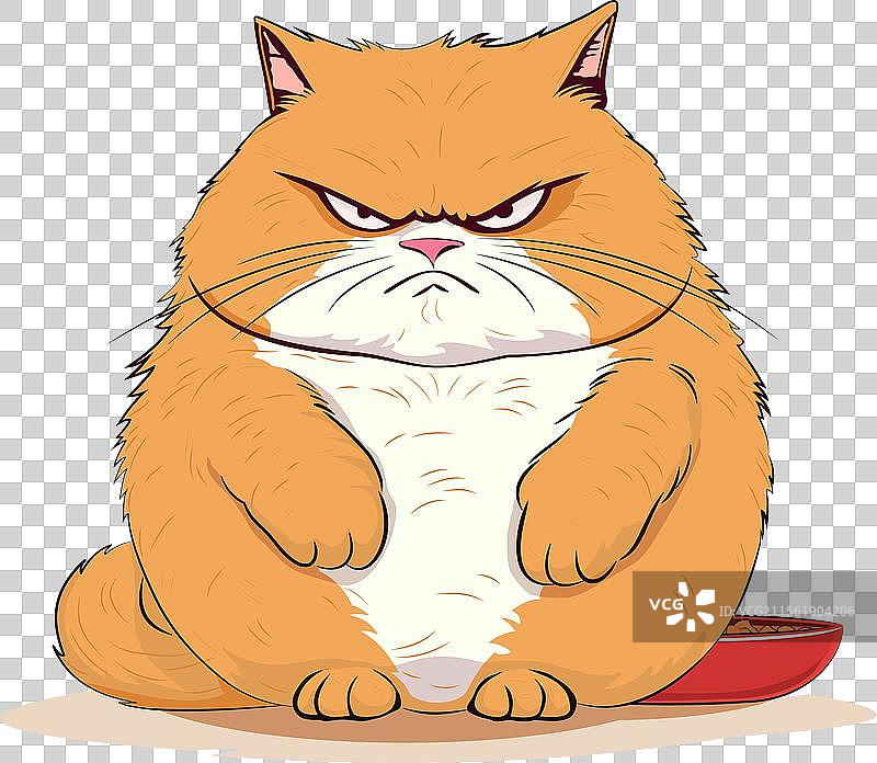 愤怒的胖红猫守护着它的食物图片素材