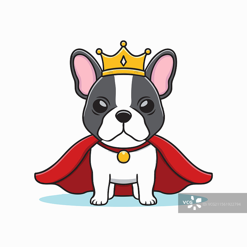 穿着皇家斗篷的法国斗牛犬图片素材