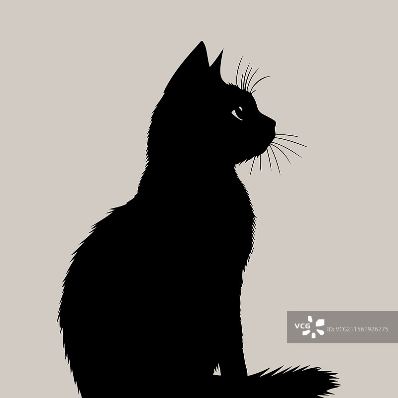 黑猫剪影图片素材
