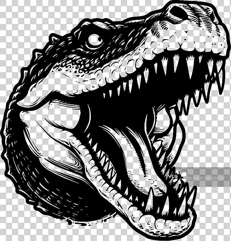 鳄鱼 - 极简风格的平面标志图片素材