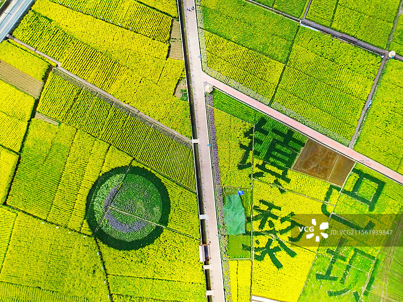 陕西省汉中市镇巴县黎坝镇油菜花海油菜花田农业村庄航拍全景绿色黄色图片素材