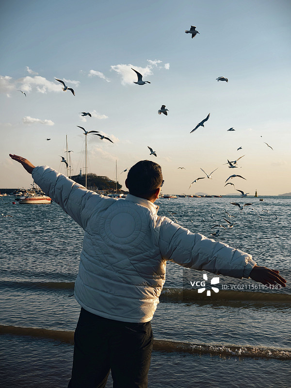 青岛海边向往自由的人与飞翔的海鸥图片素材