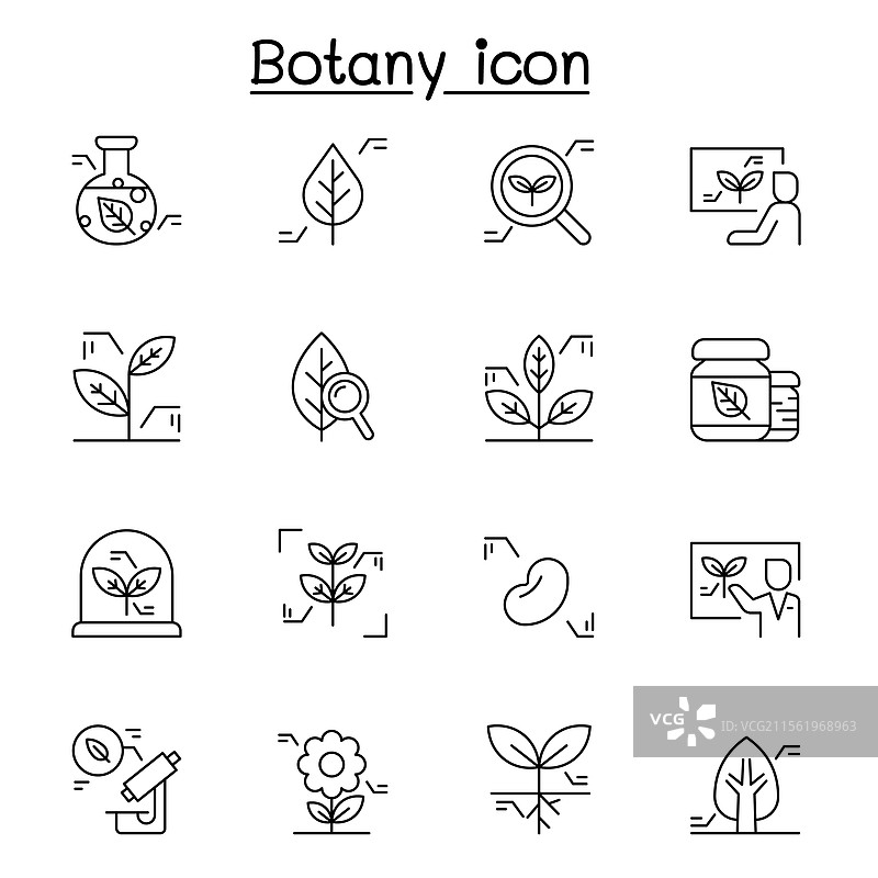 植物学图标集，细线风格图片素材
