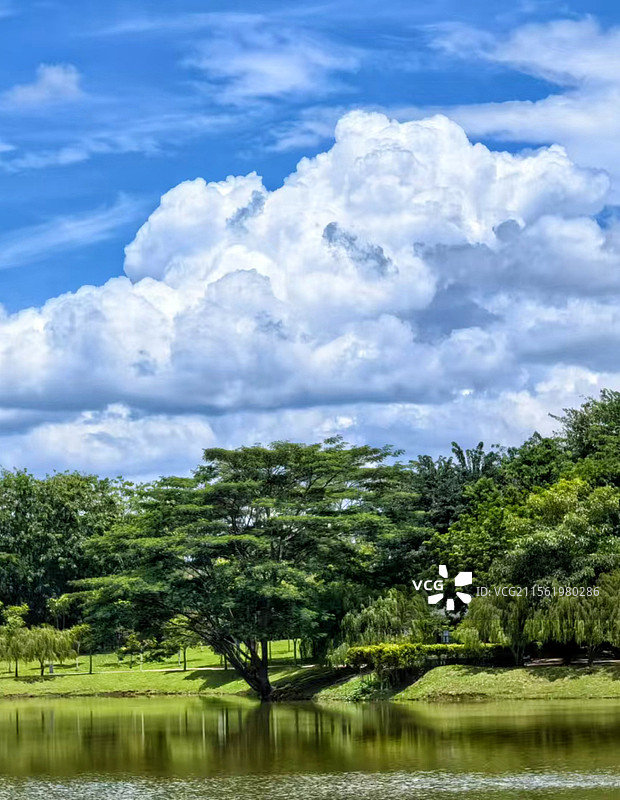 蓝天白云绿树图片素材