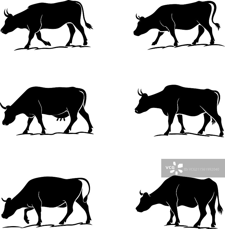 白色背景上的牛图标集用于图形设计图片素材