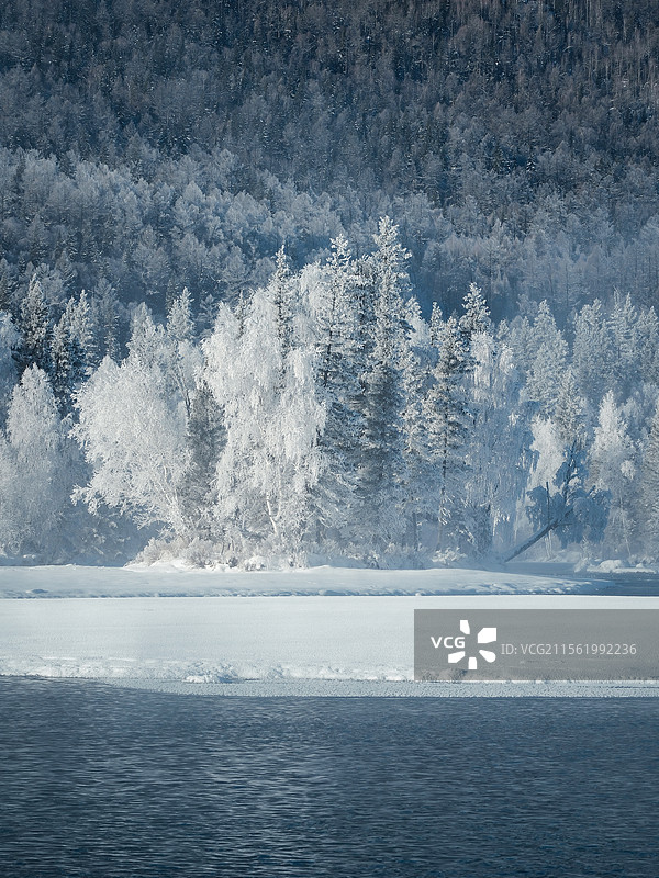 新疆喀纳斯神仙湾 雾蒙蒙的清晨图片素材
