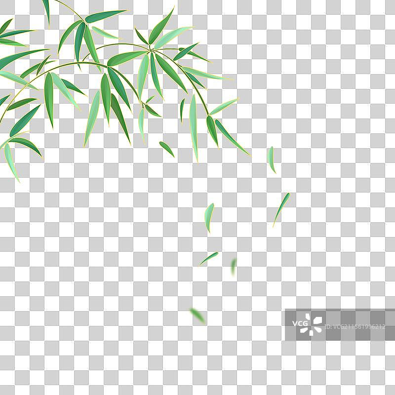 植物竹子竹叶国潮风插画元素图片素材