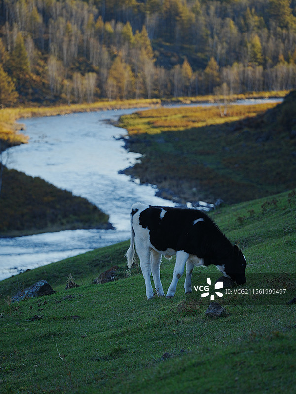 阿尔山一角图片素材