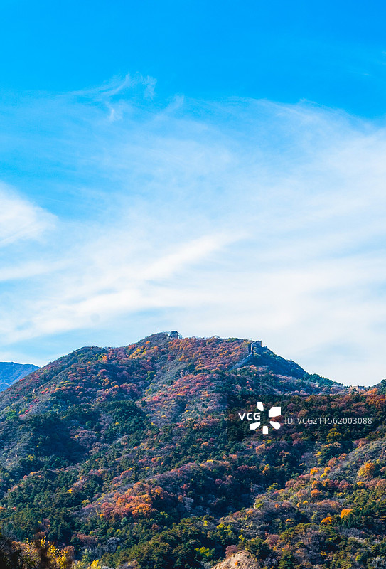 万里长城-八达岭国家森林公园-红叶岭图片素材