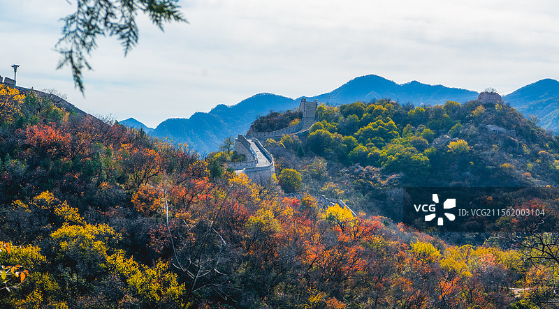 万里长城-八达岭国家森林公园-红叶岭图片素材